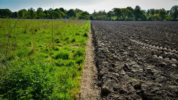 再生農業とは?注目される理由やどのような取り組みがあるのか分かりやすく解説します