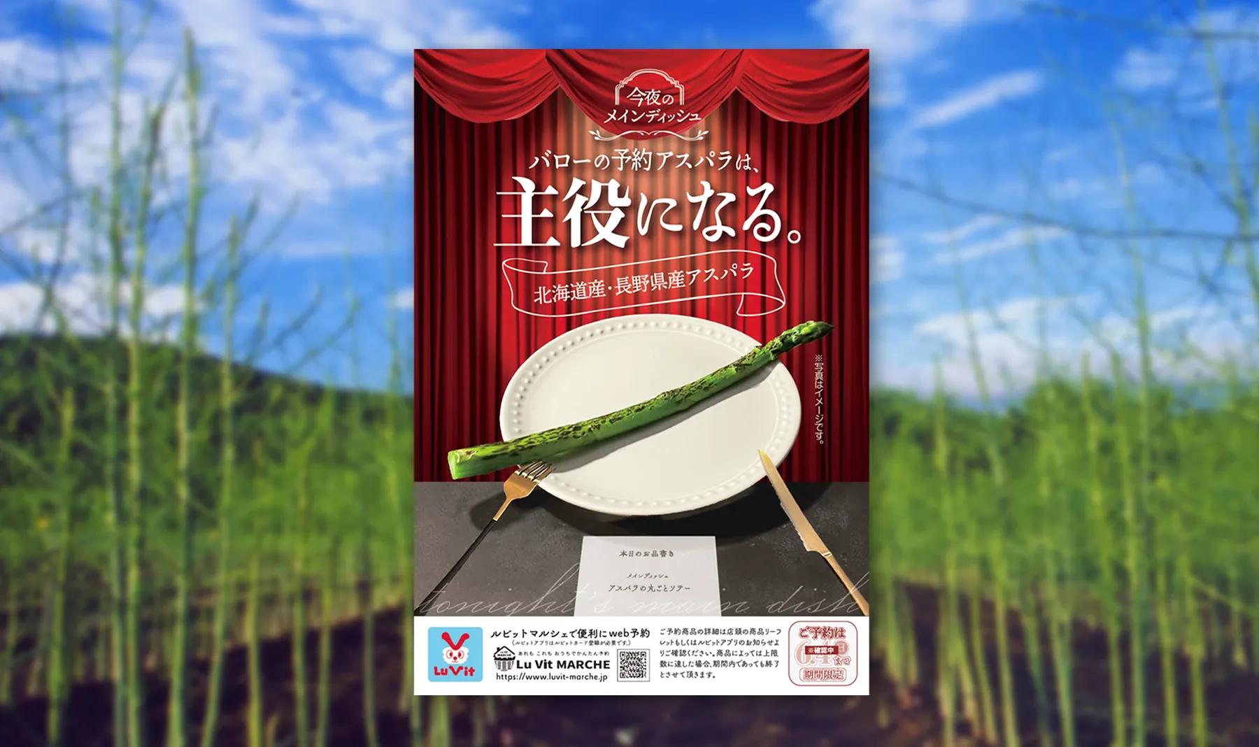 アスパラの販促用ポスターのデザインを制作!消費者の心を動かし、売上アップにつながるデザインを提案させていただきました