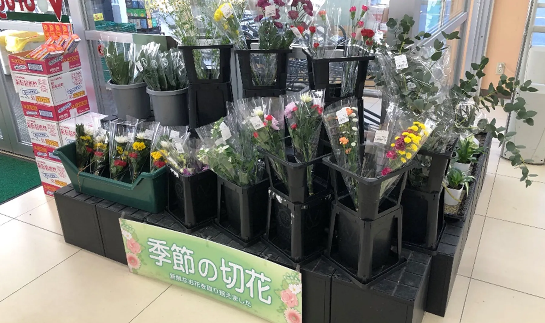 ドラッグストアの切花コーナーの売上改善を目指して!売上アップにつながる売場改善の提案をさせていただきました