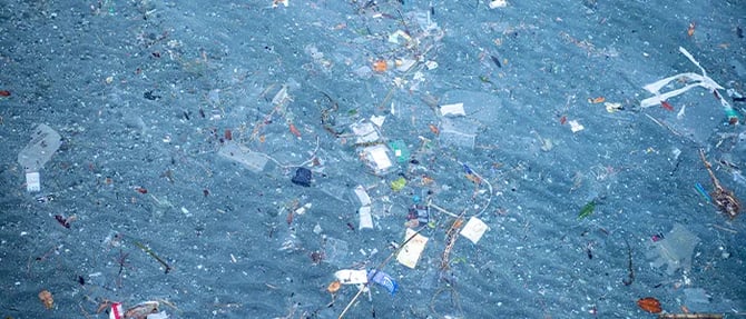 海洋にはたくさんのプラスチックごみが漂っています
