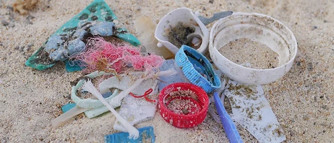 浜辺に打ち上げられたマイクロプラスチック