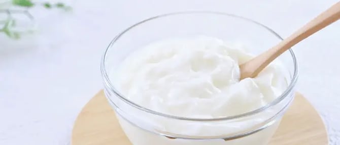 ヨーグルト