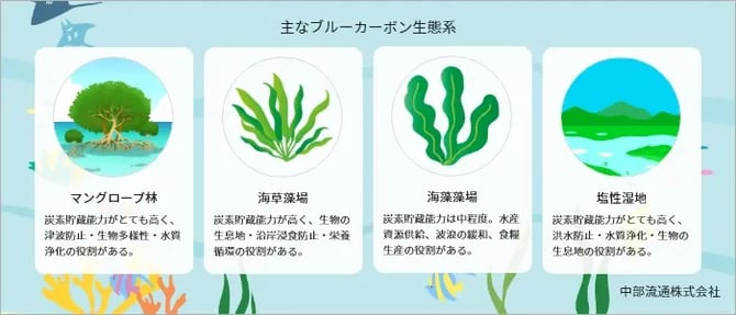 主なブルーカーボン生態系のイラスト図解