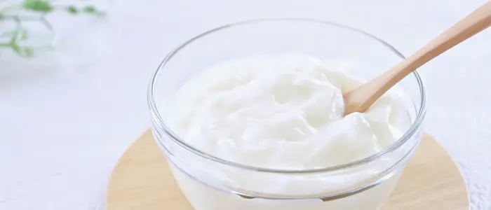 器に盛られたプレーンヨーグルト
