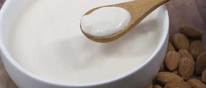 スプーンに掬った植物性ヨーグルト