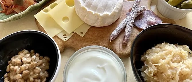 様々な発酵食品