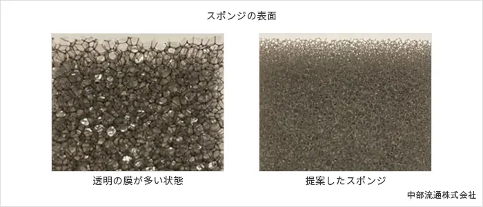 スポンジの表面 スポンジの表面