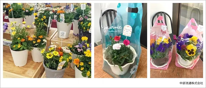 商品の寄せ植え鉢 商品の寄せ植え鉢